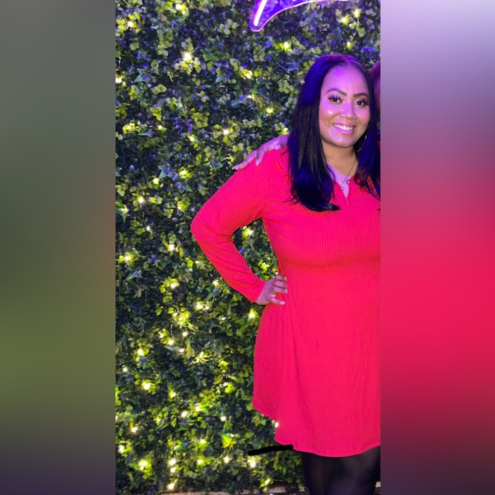 Red Zip-Up Collar Dress